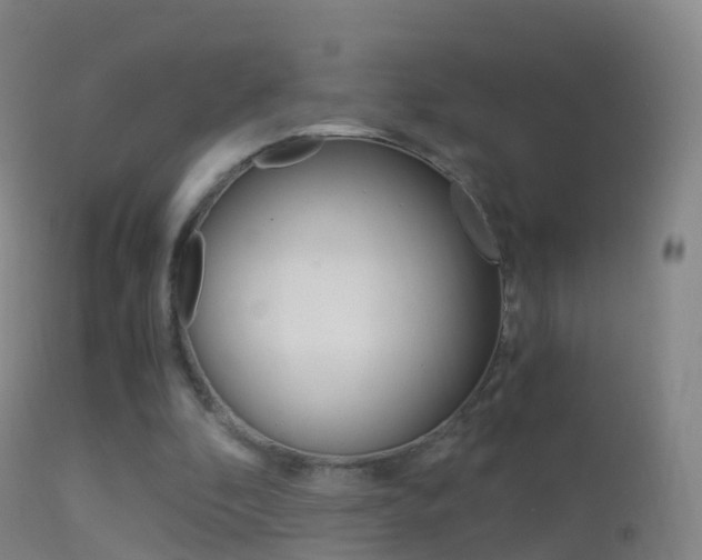 X0000114680296200910211038