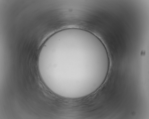 X0000114680297200910211037