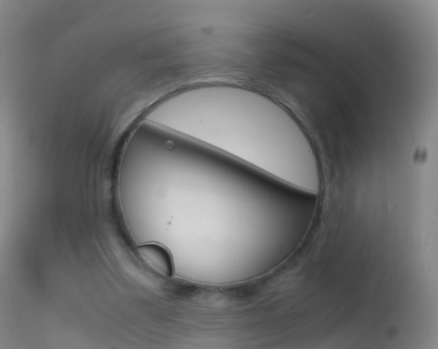 X0000114680299200910211037