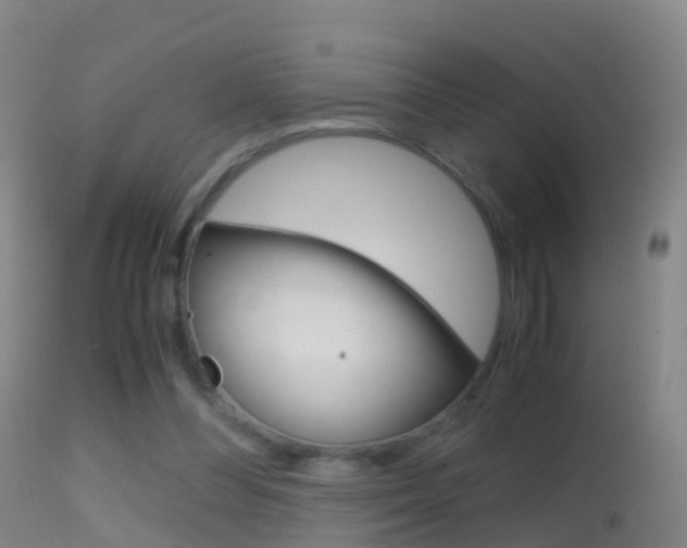 X0000114680300200910211037