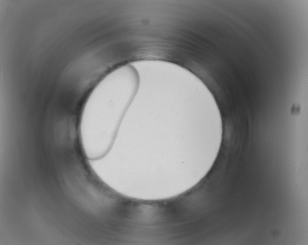 X0000114680302200910211037