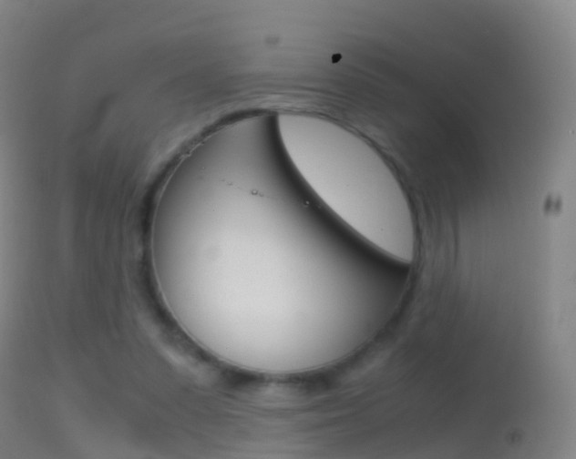 X0000114680303200910211037