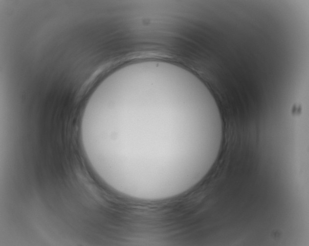 X0000114680304200910211037