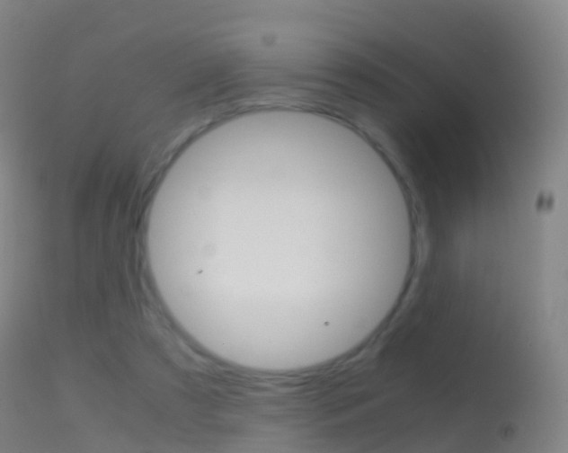 X0000114680305200910211037