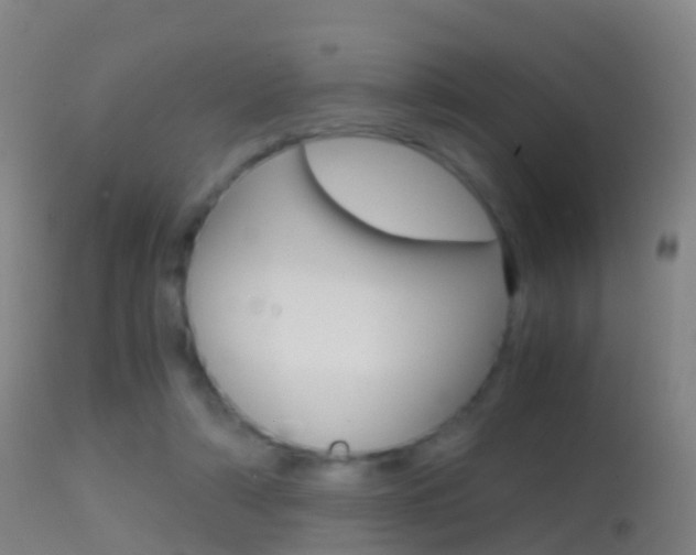 X0000114680306200910211037