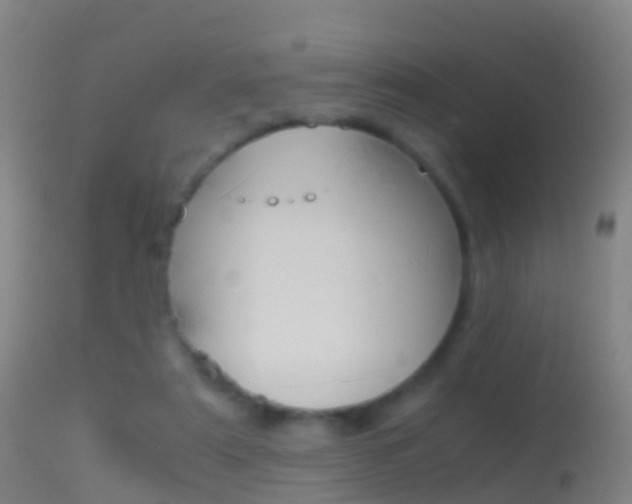 X0000114680307200910211037