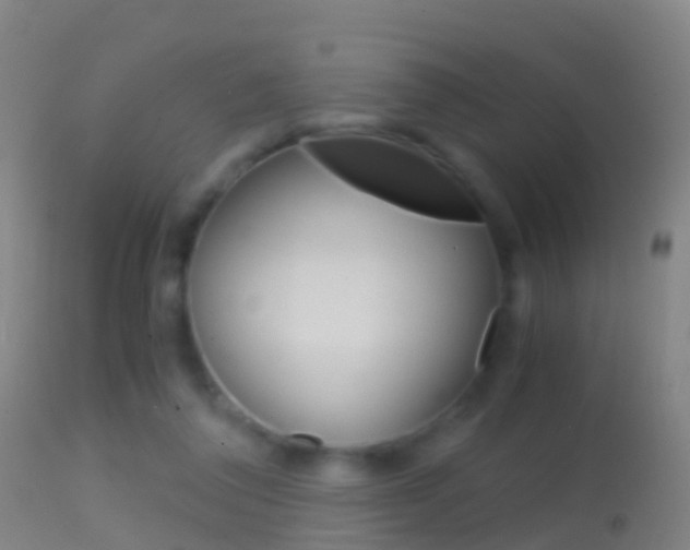 X0000114680308200910211037
