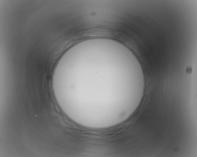 X0000114680309200910211037