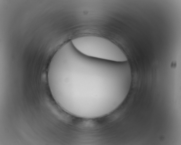 X0000114680310200910211037