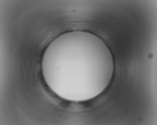 X0000114680311200910211037