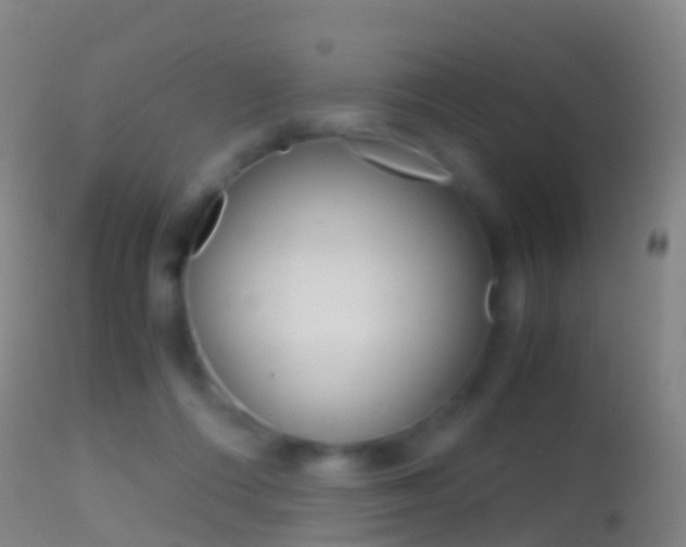 X0000114680312200910211037