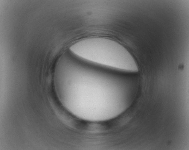 X0000114680315200910211037