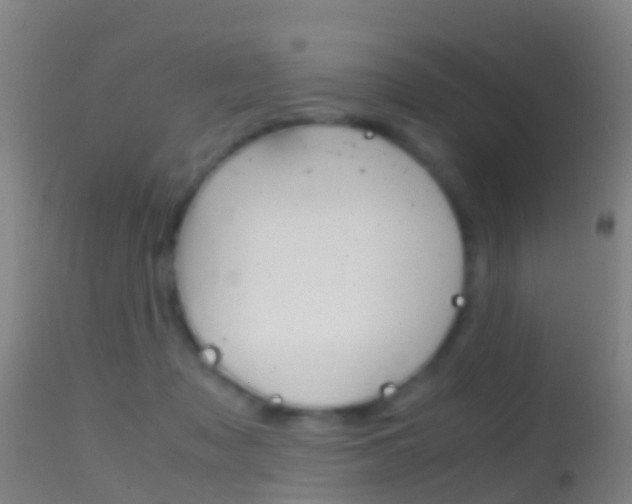 X0000114680317200910211037