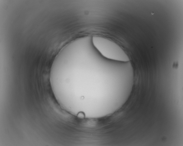 X0000114680318200910211037