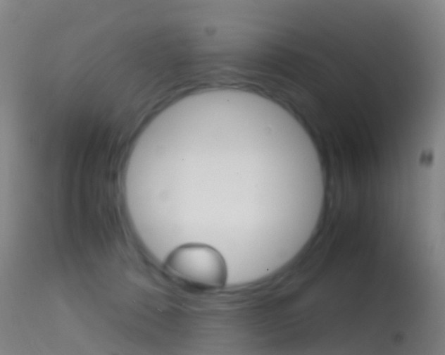 X0000114680320200910211037
