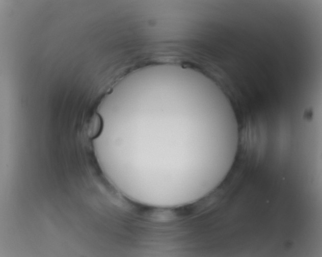 X0000114680322200910211037