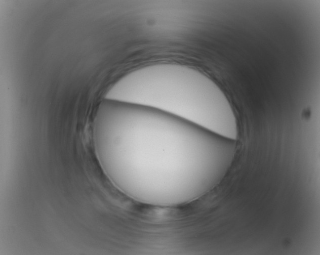 X0000114680323200910211037