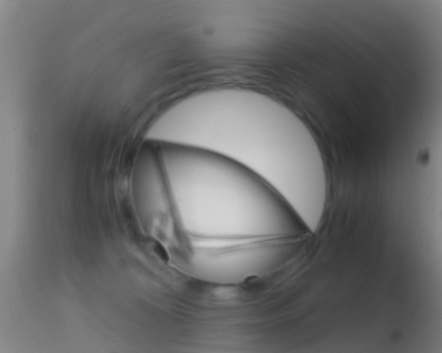 X0000114680324200910211037