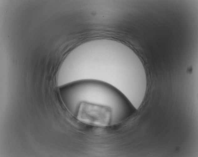 X0000114680325200910211037