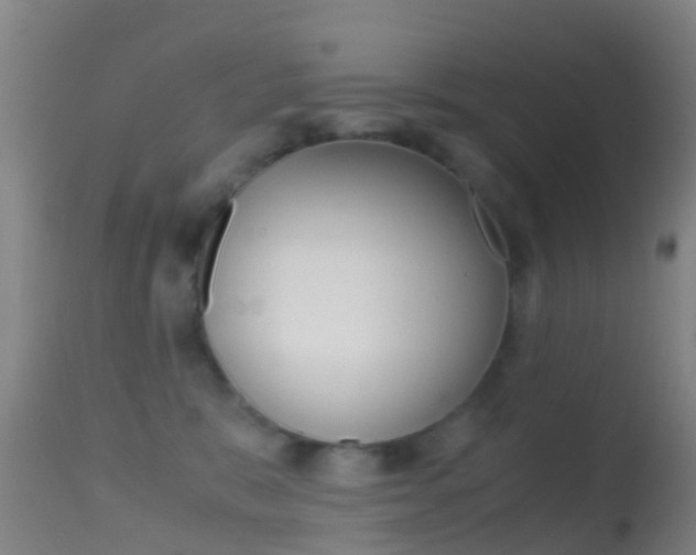 X0000114680327200910211037