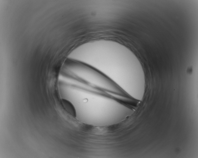 X0000114680328200910211037