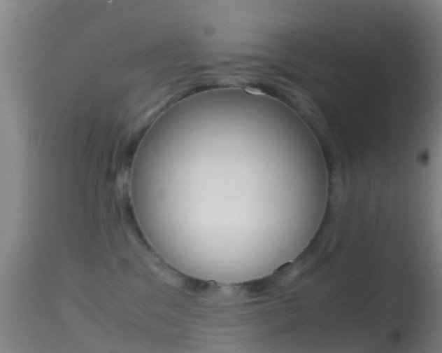 X0000114680329200910211037