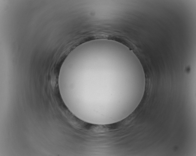 X0000114680331200910211037