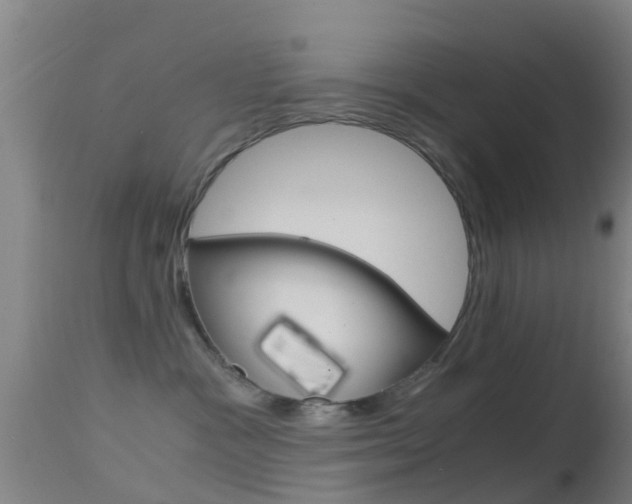 X0000114680333200910211037