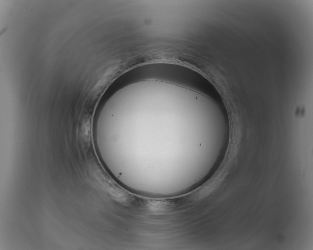 X0000114680336200910211037