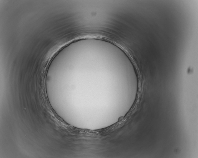 X0000114680337200910211036