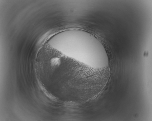 X0000114680339200910211036