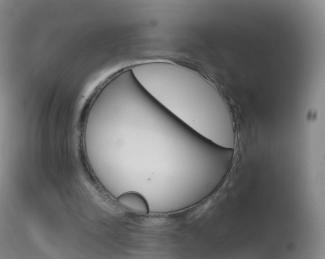 X0000114680342200910211036