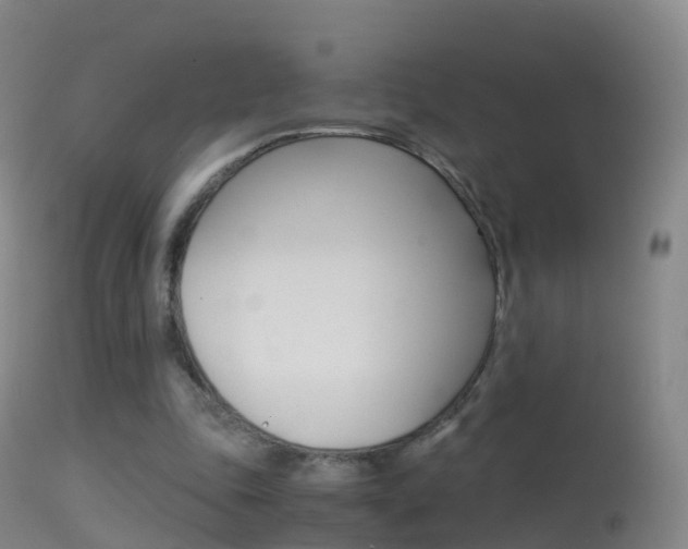 X0000114680343200910211036