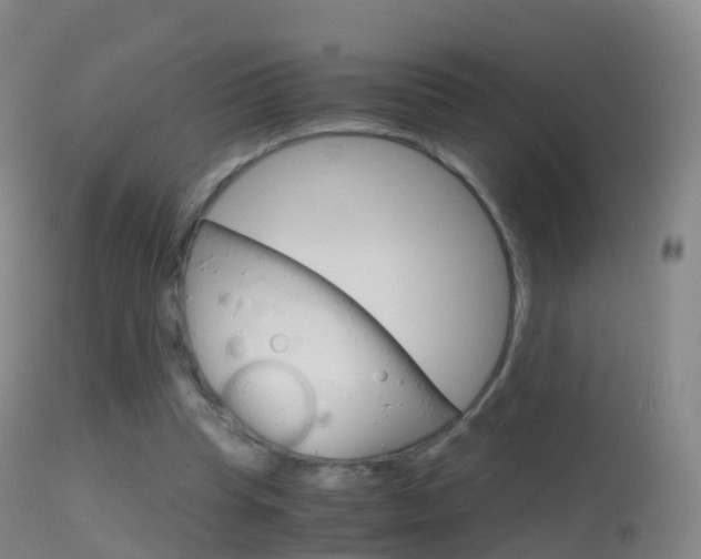 X0000114680345200910211036
