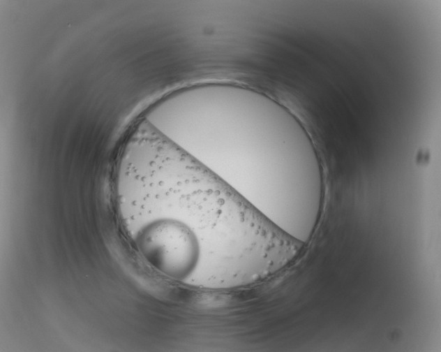 X0000114680346200910211036