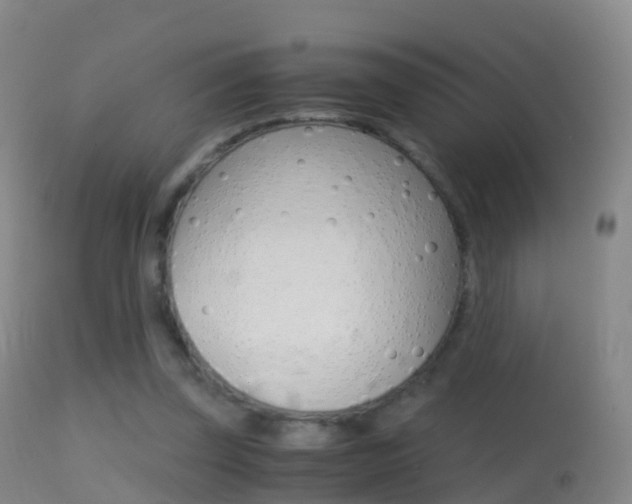 X0000114680347200910211036