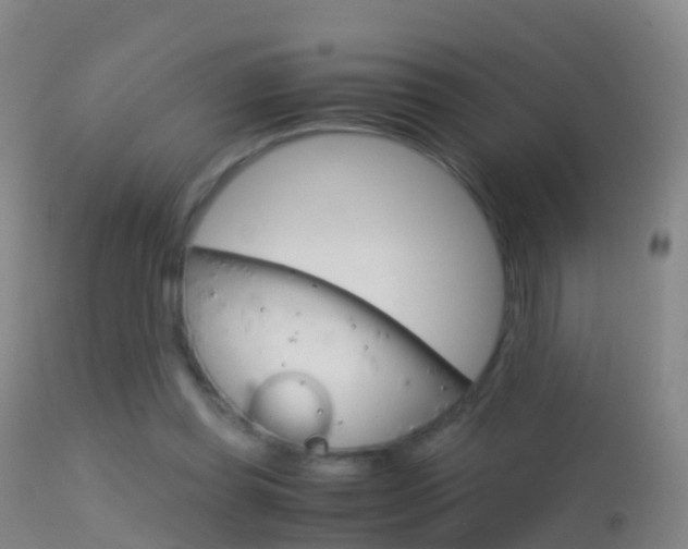 X0000114680349200910211036