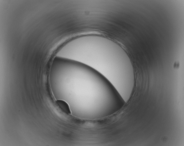 X0000114680350200910211036