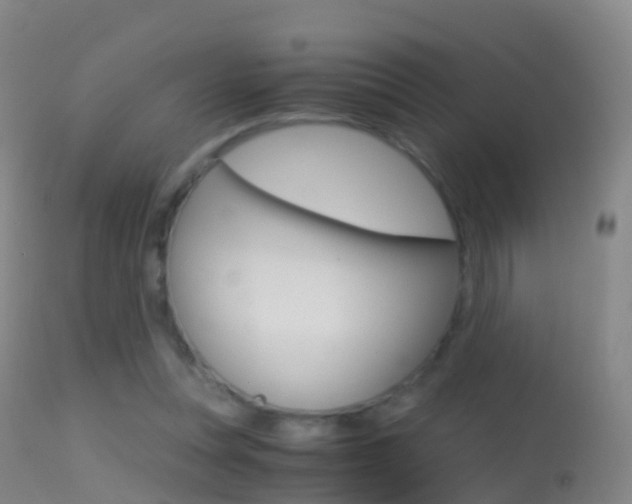 X0000114680351200910211036