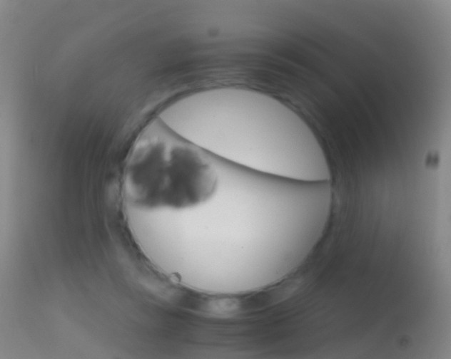 X0000114680355200910211037