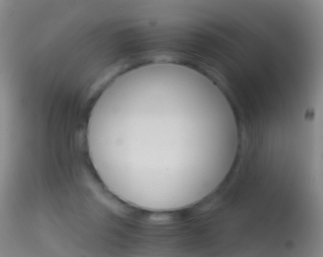 X0000114680357200910211037