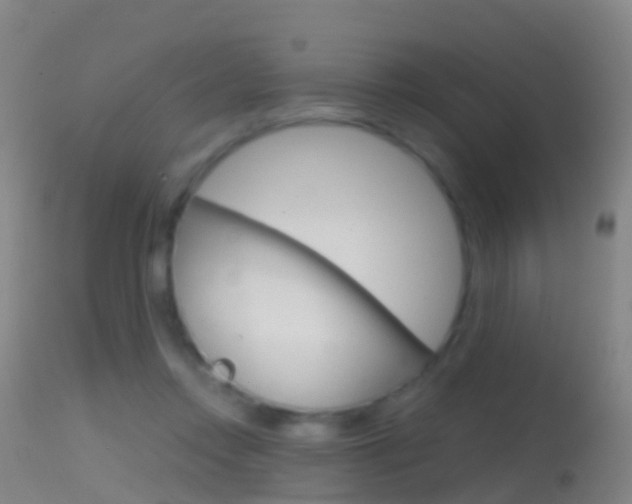 X0000114680358200910211037