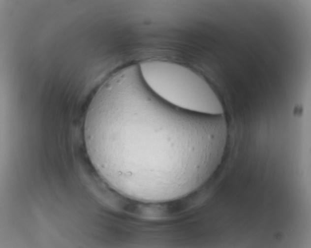 X0000114680359200910211037