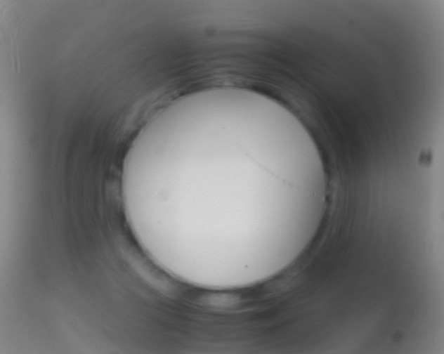 X0000114680361200910211037