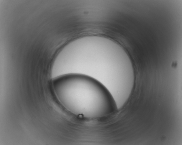 X0000114680362200910211037
