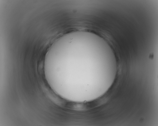 X0000114680365200910211037