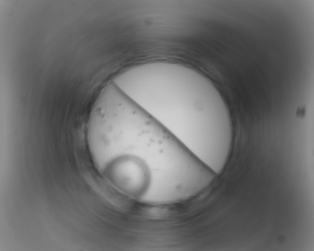 X0000114680366200910211037