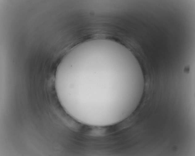 X0000114680369200910211037
