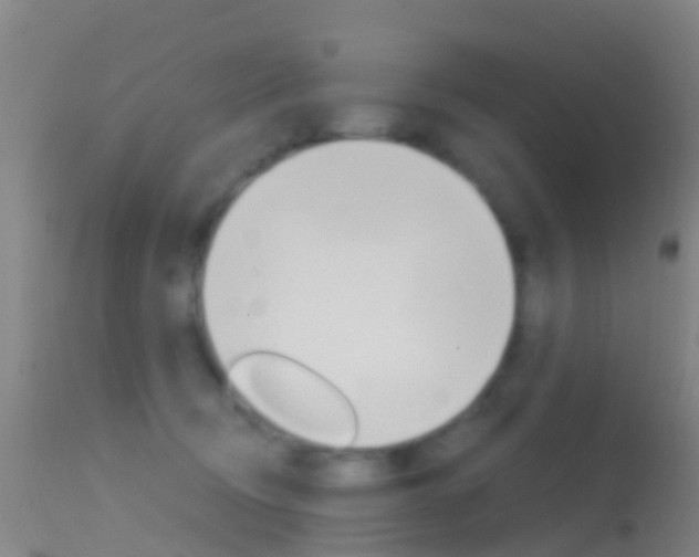 X0000114680370200910211037