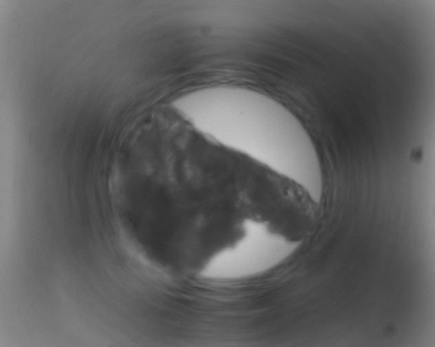 X0000114680371200910211037